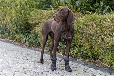 TRIXIE Walker Active Long – Hohe Schutzschuhe – Produktansicht 10